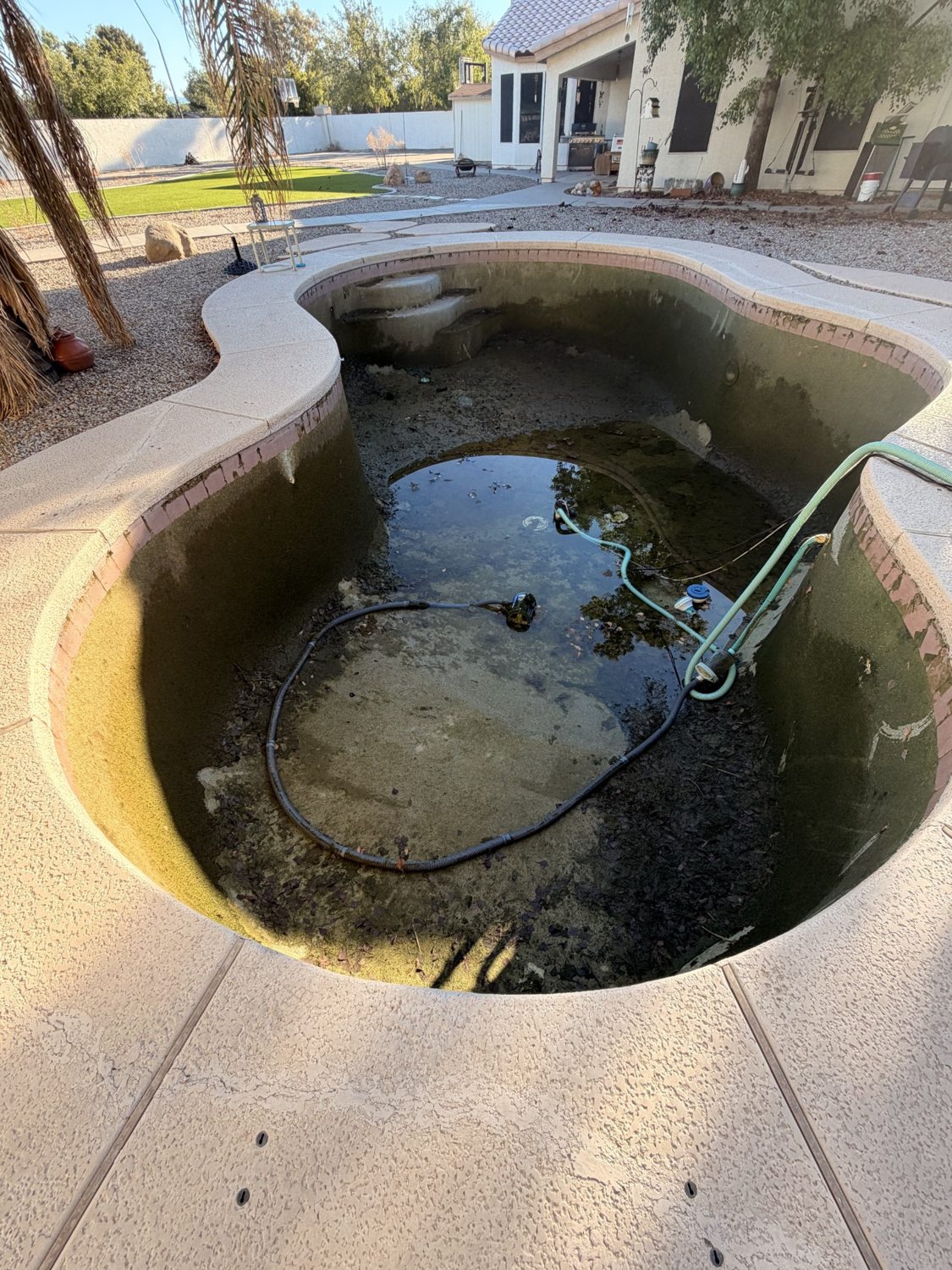 Neglected drained residential pool with algae and debris before cleanup