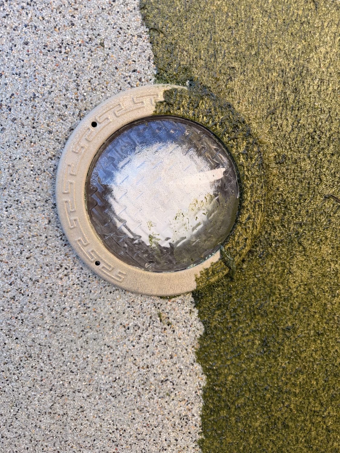 Close-up of cleaned pool surface next to algae-coated area